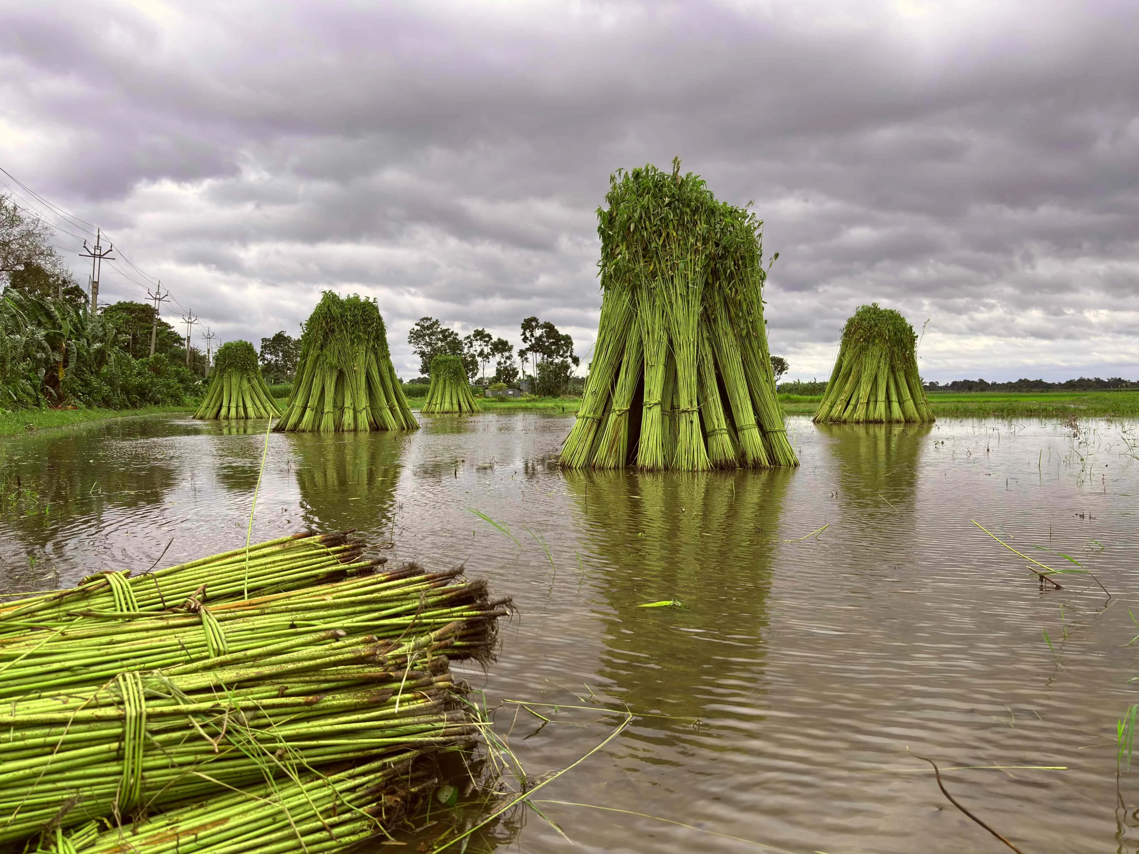 Craftsmanship showcase 1