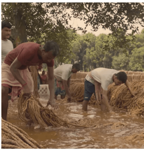 Preparing natural fibre for water treatment